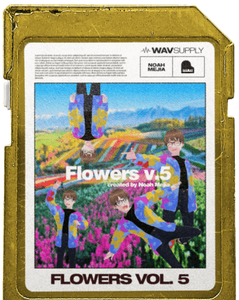 WavSupply Noah Mejia Flowers Vol.5 (One Shot Kit) WAV